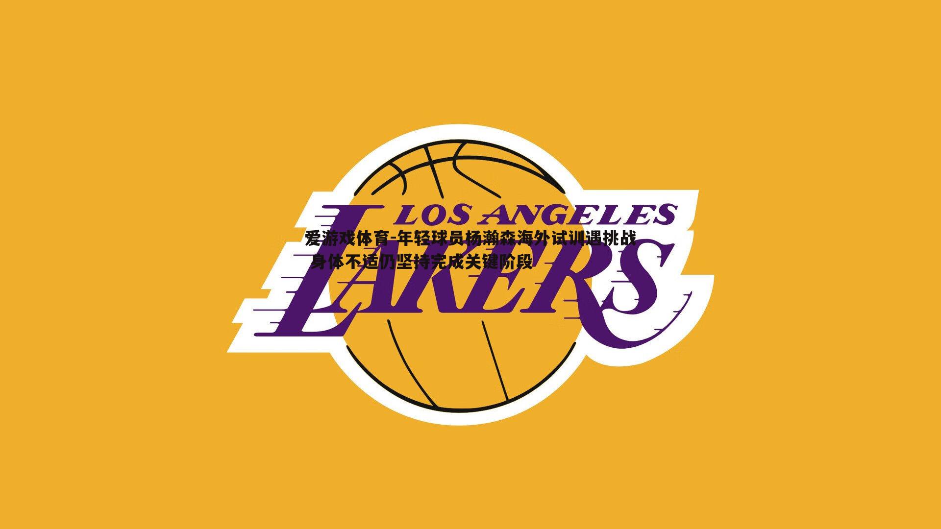 爱游戏体育-年轻球员杨瀚森海外试训遇挑战 身体不适仍坚持完成关键阶段